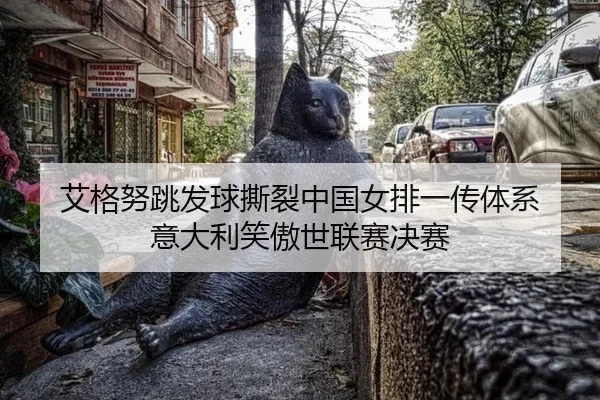 ai-ge-nu-tiao-fa-qiu-si-lie-zhong-guo-nv-pai-yi-chuan-ti-xi-yi-da-li-xiao-ao-shi-lian-sai-jue-sai-3-318.jpg