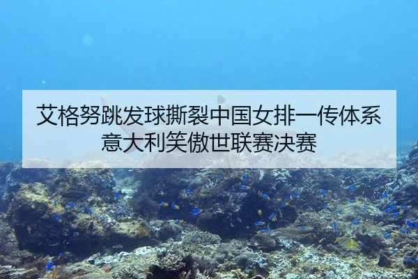 艾格努跳发球撕裂中国女排一传体系 意大利笑傲世联赛决赛