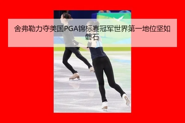 she-fu-lei-li-duo-mei-guo-jin-biao-sai-guan-jun-shi-jie-di-yi-di-wei-jian-ru-pan-shi-2-266.jpg